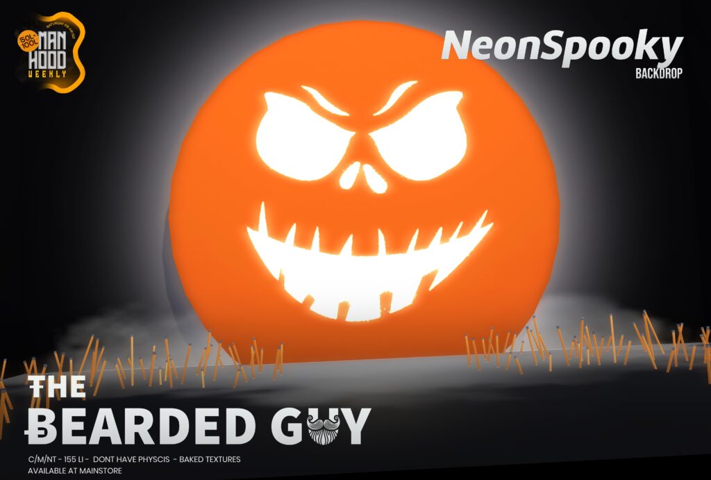 THE BEARDED GUY