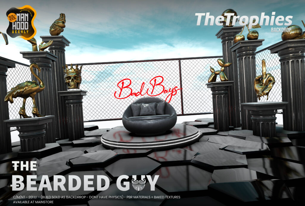 THE BEARDED GUY