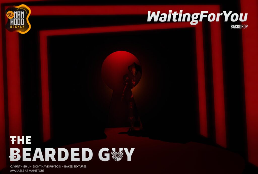 THE BEARDED GUY